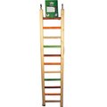 A&E Cage A&E Cage 001452 25 in. Happy Beaks Wooden Hanging Ladder; Multicolor 1452